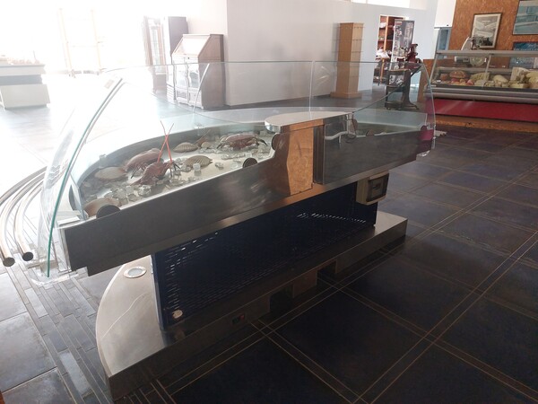 46#7396 Banco esposizione pesce Mondel in vendita - foto 6
