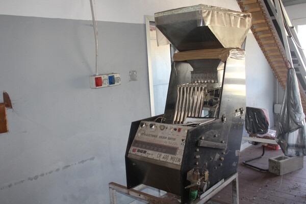 5#7506 Selezionatrici Sea Bologna e spazzolatrice per pinoli in vendita - foto 6