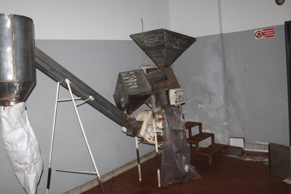 5#7506 Selezionatrici Sea Bologna e spazzolatrice per pinoli in vendita - foto 8