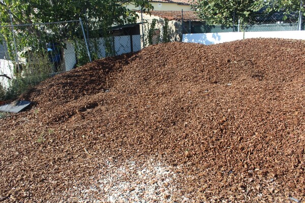 7#7506 Cippatura di pigna in vendita - foto 1