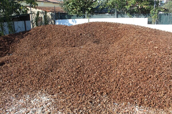 7#7506 Cippatura di pigna in vendita - foto 2