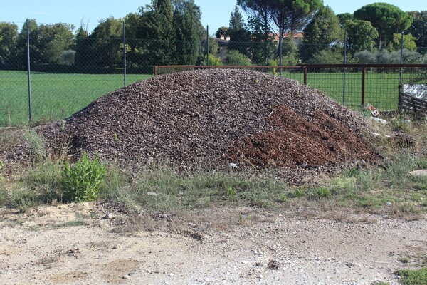 7#7506 Cippatura di pigna in vendita - foto 5