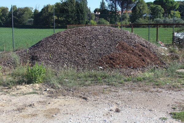 7#7506 Cippatura di pigna in vendita - foto 6
