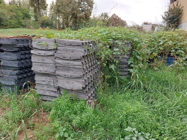 1#7510 Grigliati posatoi per suini in vendita - foto 7