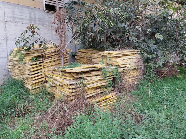 1#7510 Grigliati posatoi per suini in vendita - foto 8