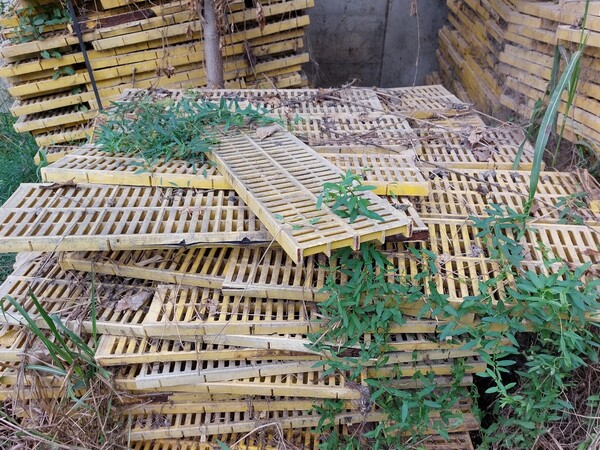 1#7510 Grigliati posatoi per suini in vendita - foto 9