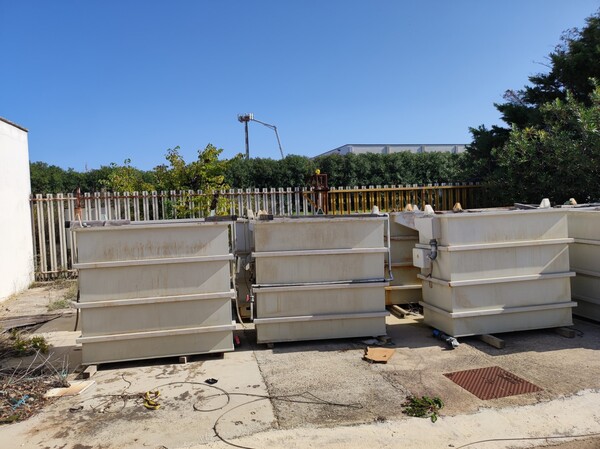 8#7511 Vasche per trattamenti galvanici in vendita - foto 21