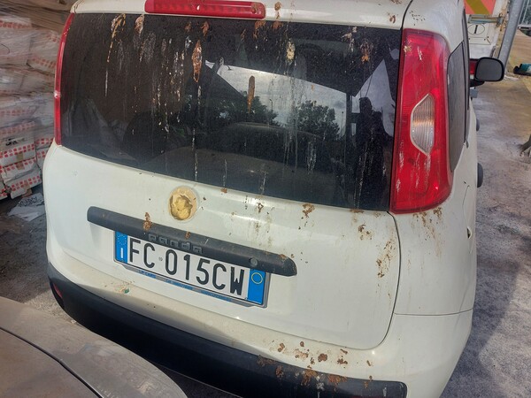 5#7551 Autovettura Fiat Panda in vendita - foto 2