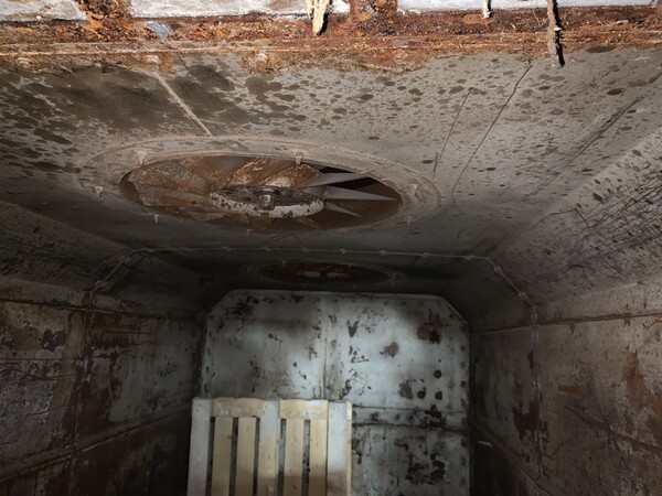 12#7554 Forno elettrico S.F.E.A.T. in vendita - foto 5