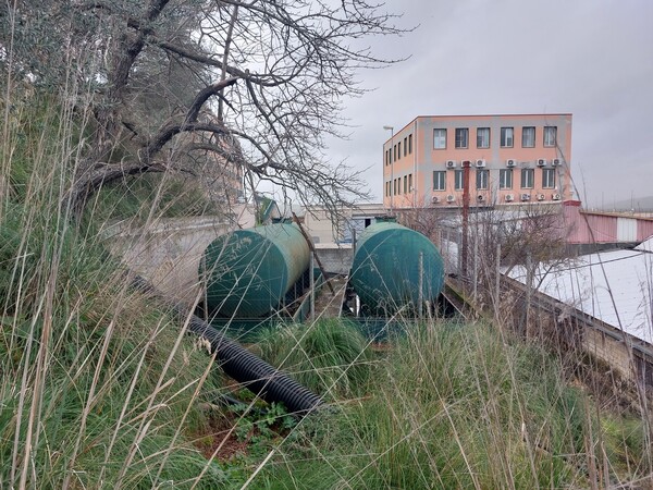 29#7556 Bonze in ferro in vendita - foto 4
