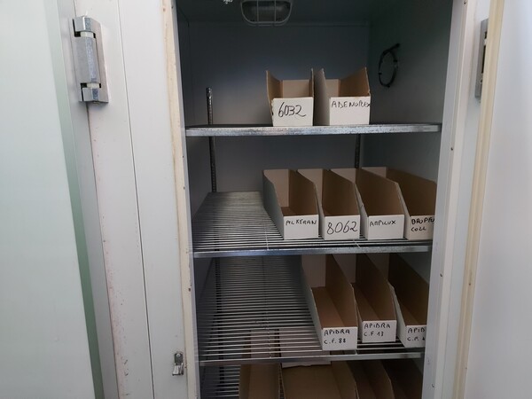 20#7562 Frigoriferi per farmaci in vendita - foto 5