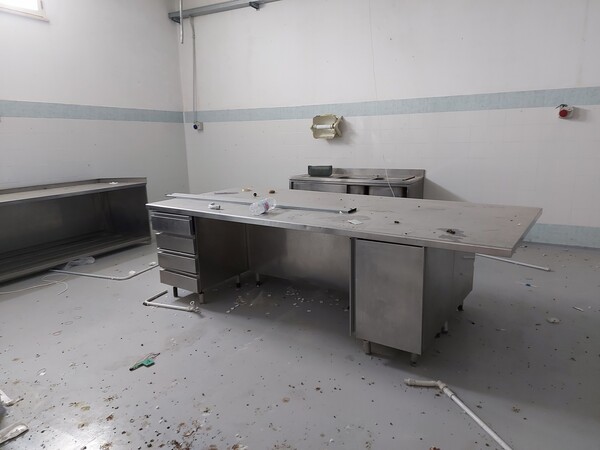 2#7567 Attrezzature per la lavorazione del pesce in vendita - foto 13