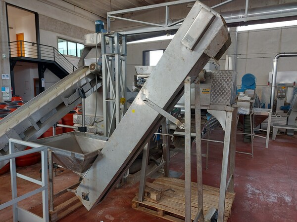 10#7582 Tagliatrice con nastro elevatore in vendita - foto 4