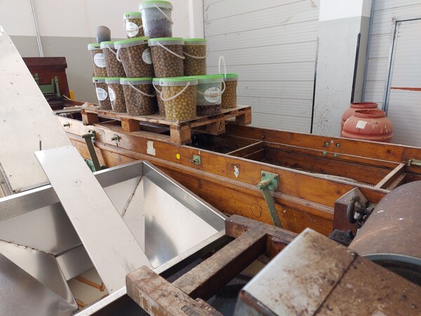 31#7582 Calibratrice in legno in vendita - foto 1