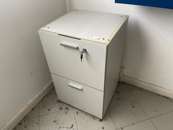 1#7587 Stampanti Epson professionali e arredamento di ufficio in vendita - foto 4