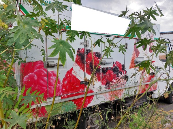 14#7605 Autocarro Marcedes Benz 308 D in vendita - foto 9