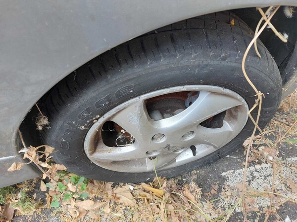 35#7605 Autovettura Peugeot 206 HDI in vendita - foto 8