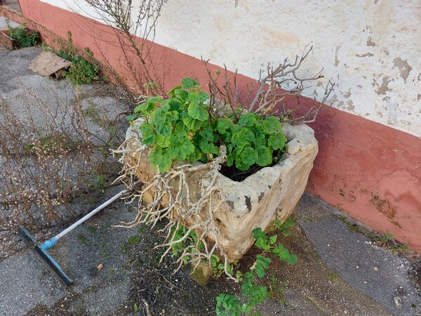 19#7625 Manufatti in pietra e marmo in vendita - foto 4