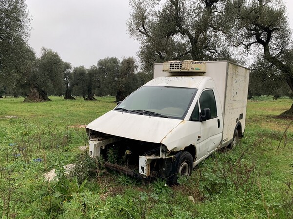 1#7648 Macchinari produzione di prodotti caseari e autocarri in vendita - foto 55