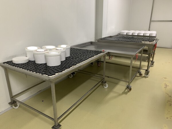 1#7648 Macchinari produzione di prodotti caseari e autocarri in vendita - foto 75