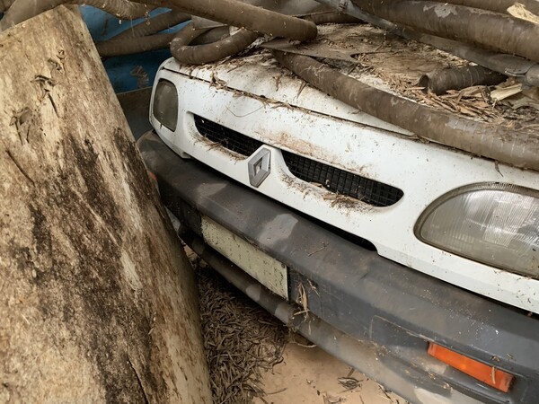 1#7648 Macchinari produzione di prodotti caseari e autocarri in vendita - foto 92
