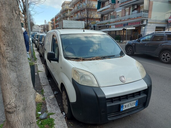 4#7658 Furgoncino Fiat Fiorino Multijet in vendita - foto 1