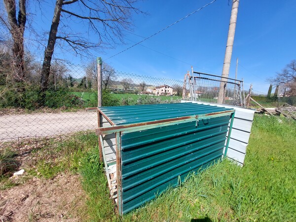 1#7663 Attrezzature e macchine da cantiere in vendita - foto 39