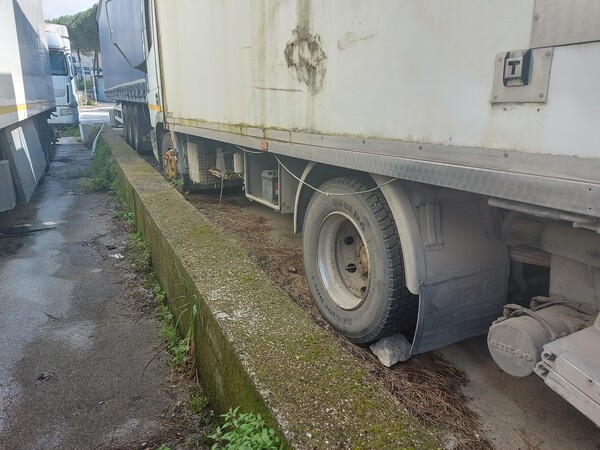 13#7675 Autocarro isotermico Iveco in vendita - foto 5