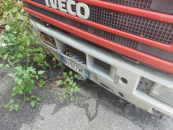 2#7675 Automezzo isotermico Iveco in vendita - foto 2