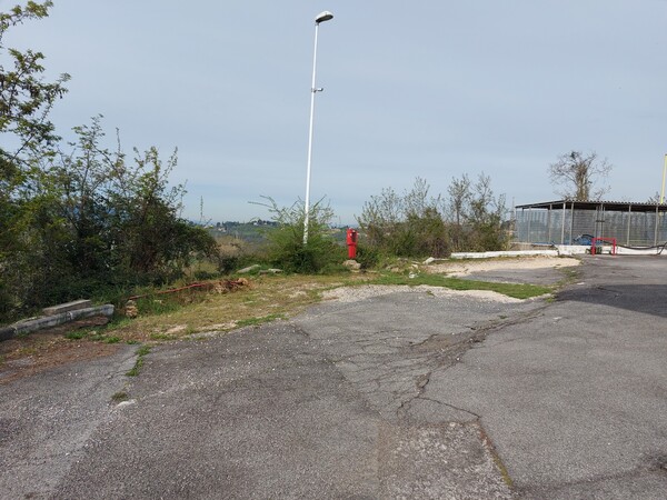 1#7688 Cessione di ramo di azienda dedita a distribuzione carburanti in vendita - foto 11