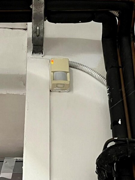 1#7741 Compendio di azienda dedita alla macellazione e al commercio all'ingrosso di bestiame in vendita - foto 9