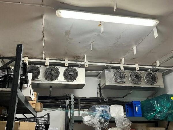 1#7741 Compendio di azienda dedita alla macellazione e al commercio all'ingrosso di bestiame in vendita - foto 11