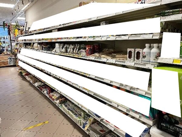 1#7741 Compendio di azienda dedita alla macellazione e al commercio all'ingrosso di bestiame in vendita - foto 21