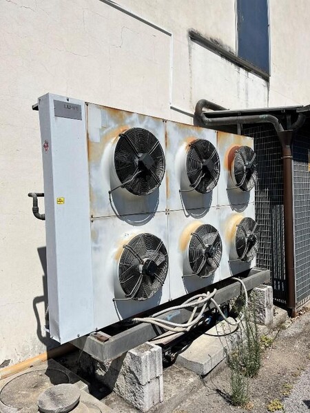1#7741 Compendio di azienda dedita alla macellazione e al commercio all'ingrosso di bestiame in vendita - foto 33
