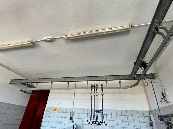 1#7741 Compendio di azienda dedita alla macellazione e al commercio all'ingrosso di bestiame in vendita - foto 72