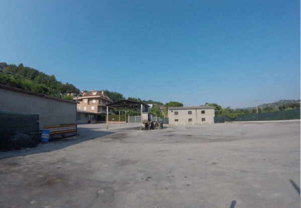 1#7771 Ramo di azienda dedita a commercio prodotti petroliferi in vendita - foto 3