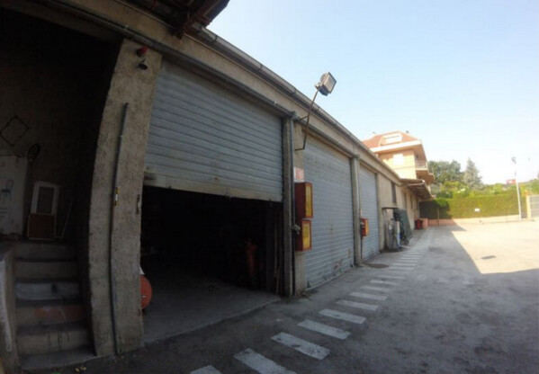 1#7771 Ramo di azienda dedita a commercio prodotti petroliferi in vendita - foto 4