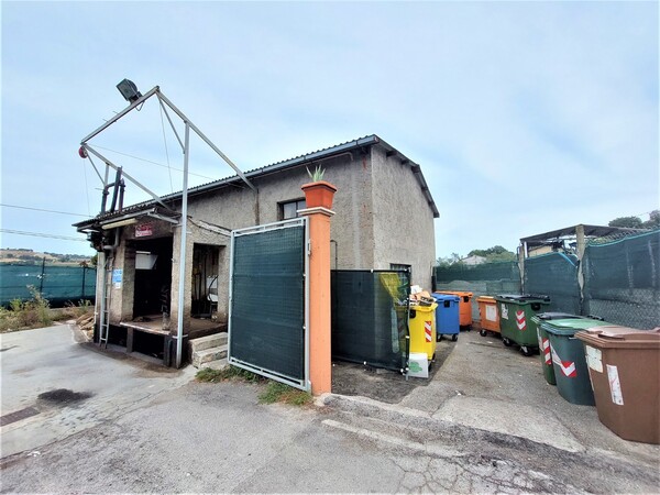 1#7771 Ramo di azienda dedita a commercio prodotti petroliferi in vendita - foto 36
