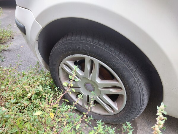 2#7785 Autovettura Fiat Panda in vendita - foto 6