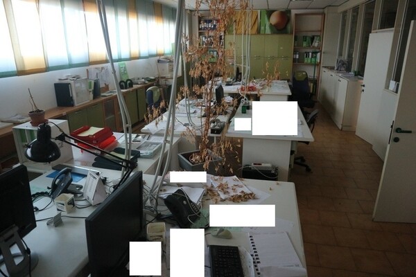 2#7799 Arredi ed attrezzature ufficio in vendita - foto 15