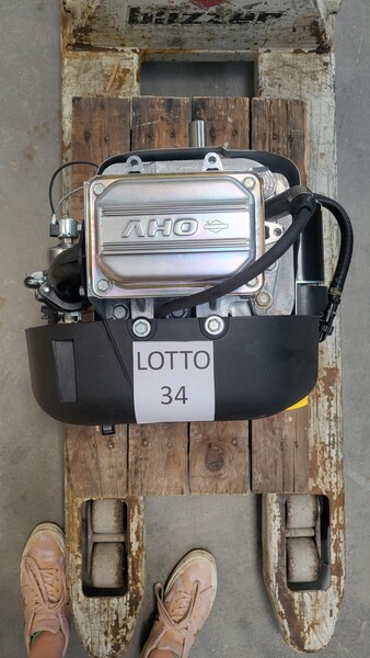 34#7807 Motore Briggs & Stratton in vendita - foto 3