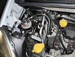 Immagine 15 - Autocarro Renault Kangoo - Lotto 8 (Asta 7809)