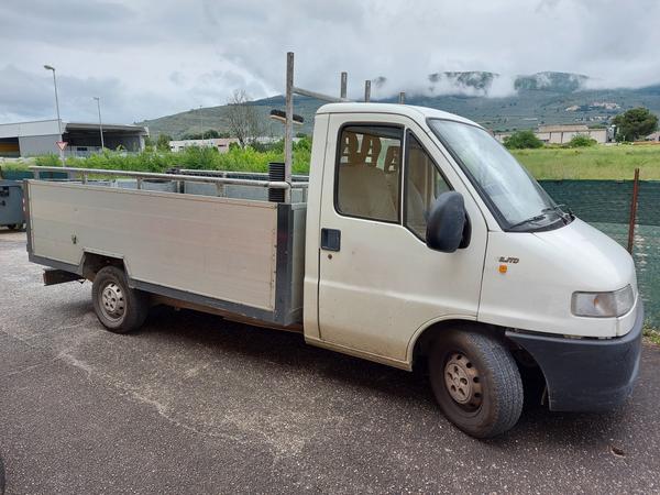 3#7829 Autocarro Fiat Ducato in vendita - foto 1