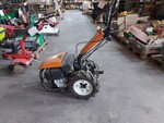 Immagine 1 - Motocoltivatore Lombardini - Lotto 113 (Asta 7834)