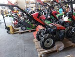 Immagine 5 - Motocoltivatore Goldoni - Lotto 114 (Asta 7834)