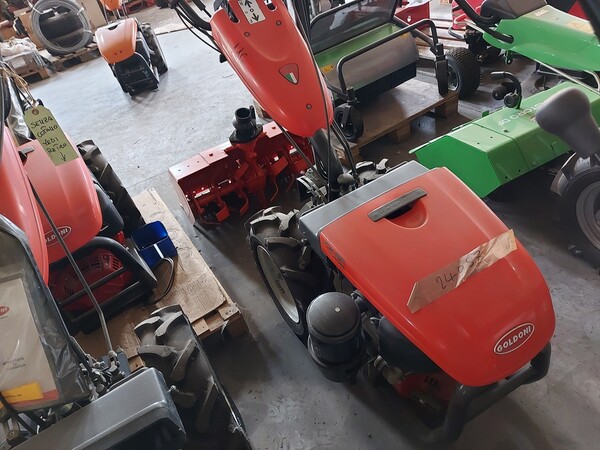 116#7834 Motocoltivatore Goldoni in vendita - foto 2