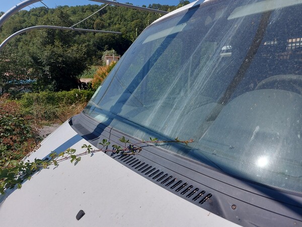 2#7840 Autocarro Fiat Ducato in vendita - foto 13