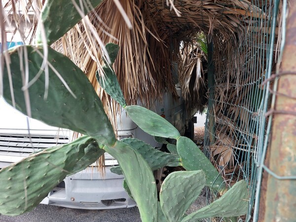 11#7849 Autocarro Iveco Daily 35.8 in vendita - foto 3