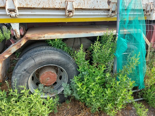 3#7849 Autocarro Iveco Eurotrakker Magirus 340EH in vendita - foto 6