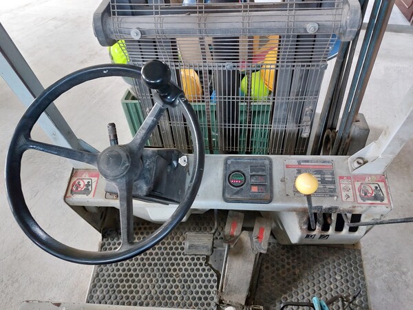 38#78500 Carrello elevatore Fiat E315N in vendita - foto 6
